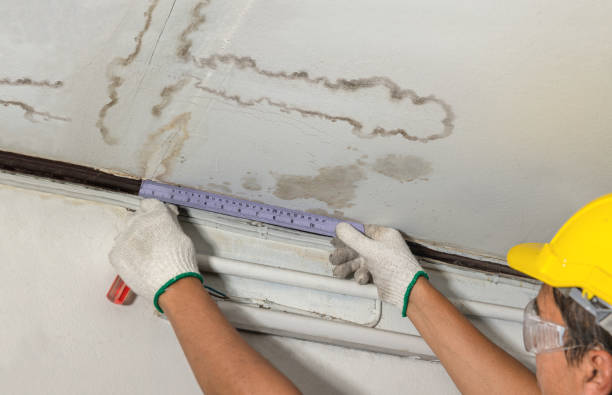Reliable Water Damage contractor in Ada, OK by Water Damage Irwin